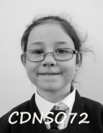 CDNSO72.jpg