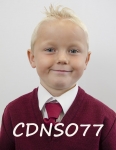 CDNSO77.jpg