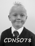 CDNSO78.jpg