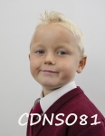 CDNSO81.jpg